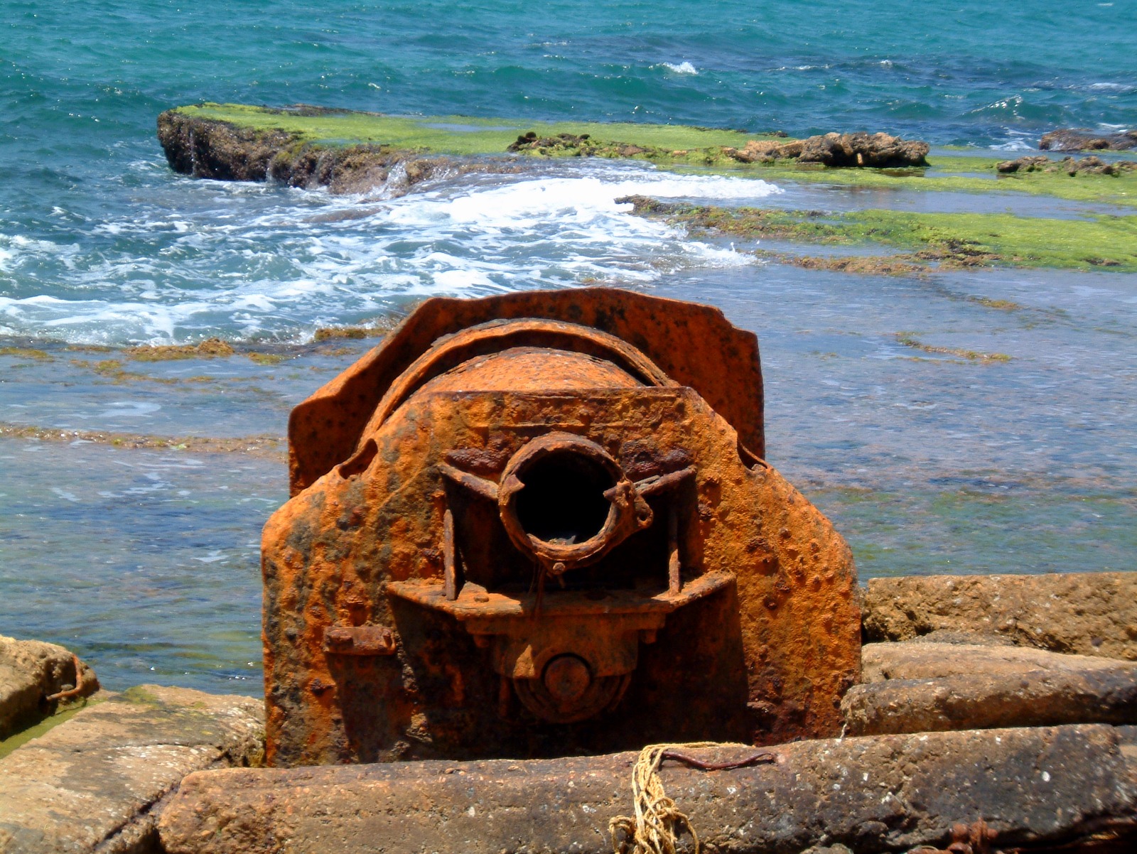 WhatsApp Image 2022-07-26 at 10.19.22 AM (1).jpeg